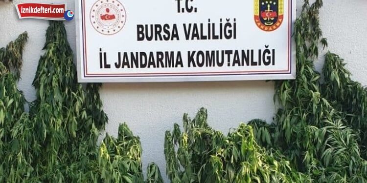 Müşküle Köyü