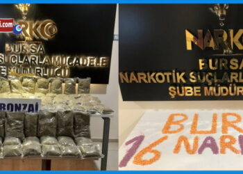 Bursa Narkotik