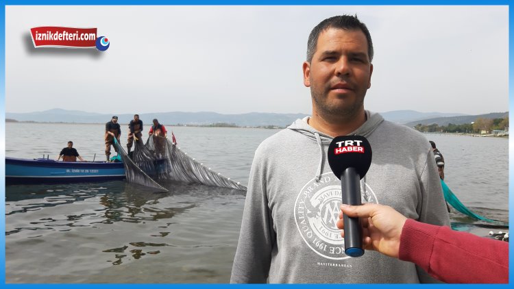 Gümüş Balığı