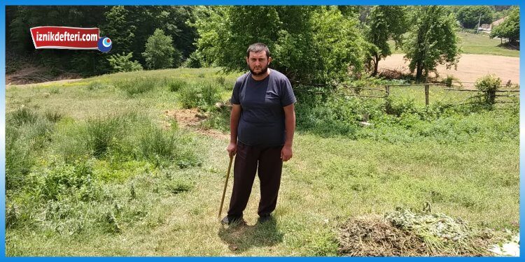 Asker Terhis