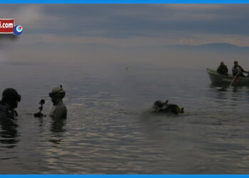 İznik Bazilika