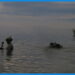 İznik Bazilika