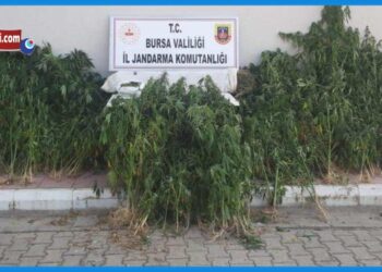 Karatekin Köyü