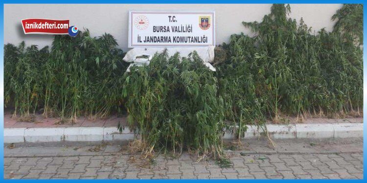 Karatekin Köyü