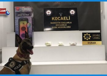 Kocaeli