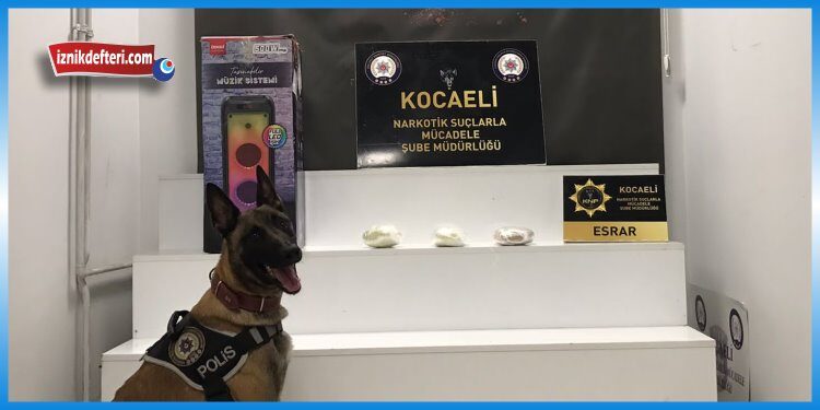 Kocaeli