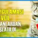 Hayvanlara Çİp Uygulaması