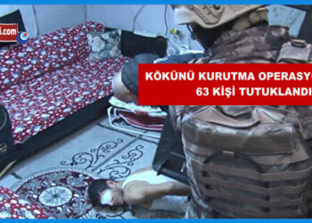 Bursa Kökünü Kurutma