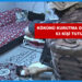 Bursa Kökünü Kurutma