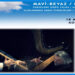 İznik Mavi Beyaz