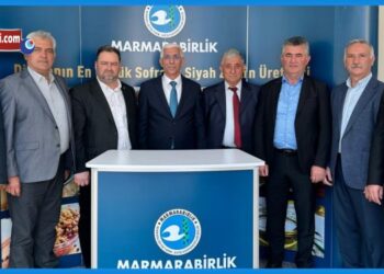 marmarabirlik