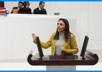 CHP Bursa Milletvekili Nurhayat Altaca Kayışoğlu,