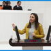 CHP Bursa Milletvekili Nurhayat Altaca Kayışoğlu,