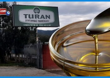 Turan Zeytinyağ