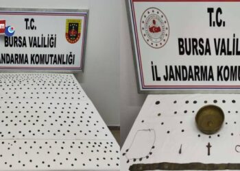 Anadolu Mirası Operasyonu