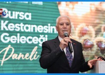 Bursa Kestanesi