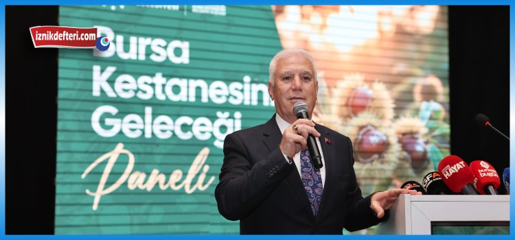 Bursa Kestanesi