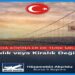 Millet Partisi