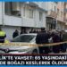 Gemlik Vahşet
