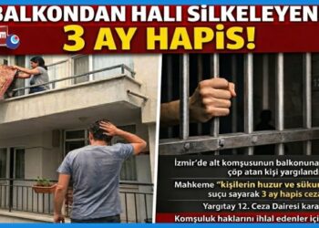 Halı Silkeleme