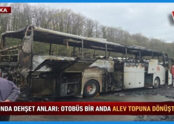 Yalova Yangın