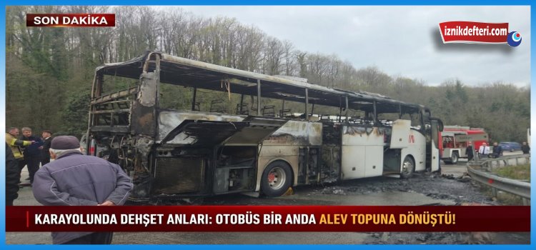 Yalova Yangın
