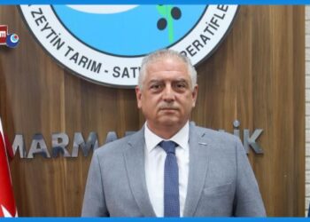 Yunus Emre Koyutürk