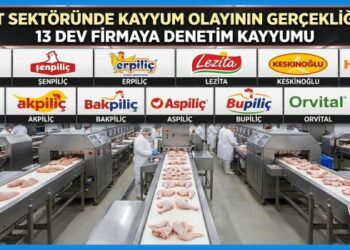 Beyaz Et Sektörü