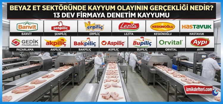 Beyaz Et Sektörü