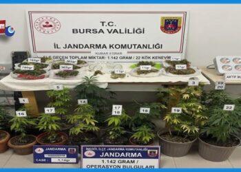İnegöl Uyuşturucu