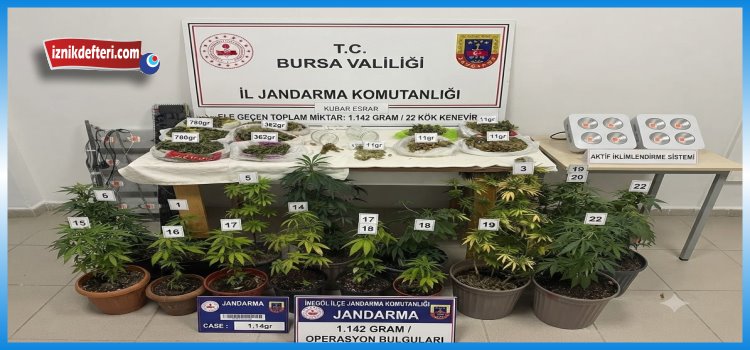 İnegöl Uyuşturucu